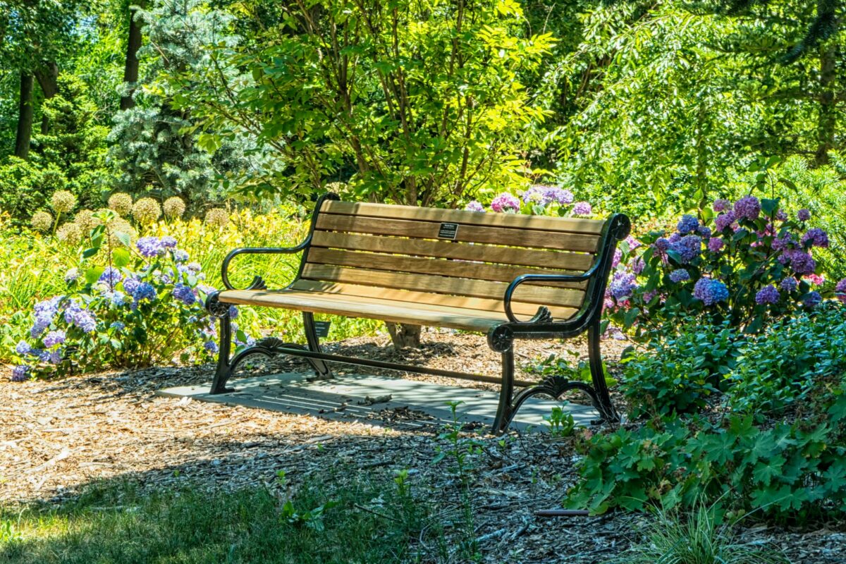 brown and black bench on garden
